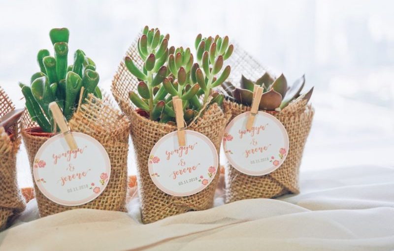 daftar-biaya-pernikahan-untuk-souvenir